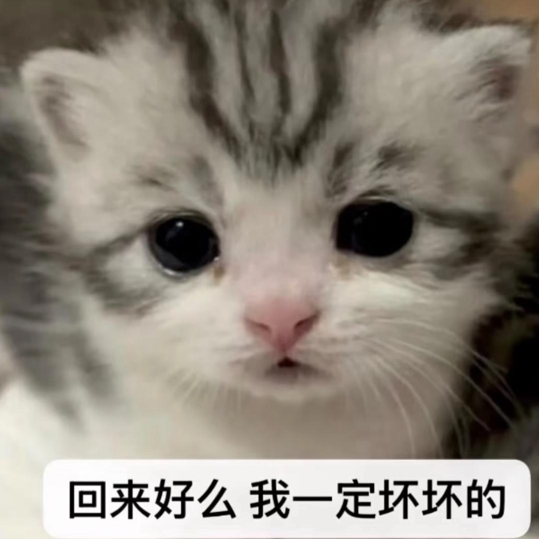 吴世勋圈外女友
