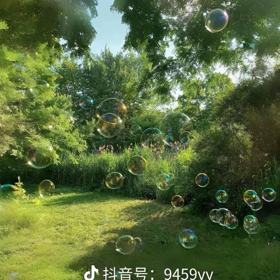 美好每天