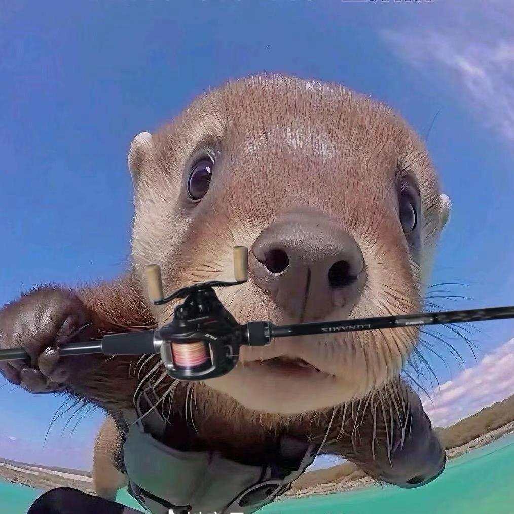 卧槽！咬钩了！