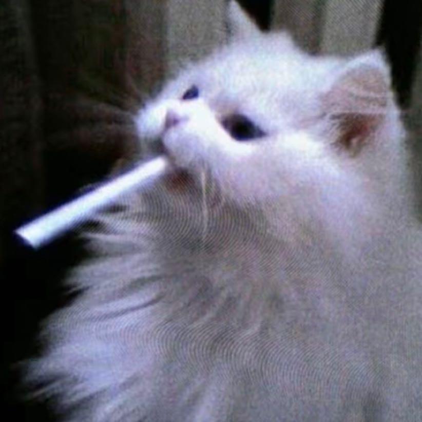 小钰碎片