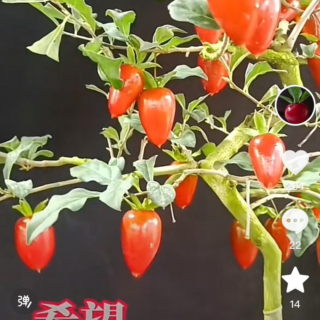 来凤县永盛花卉园艺厂