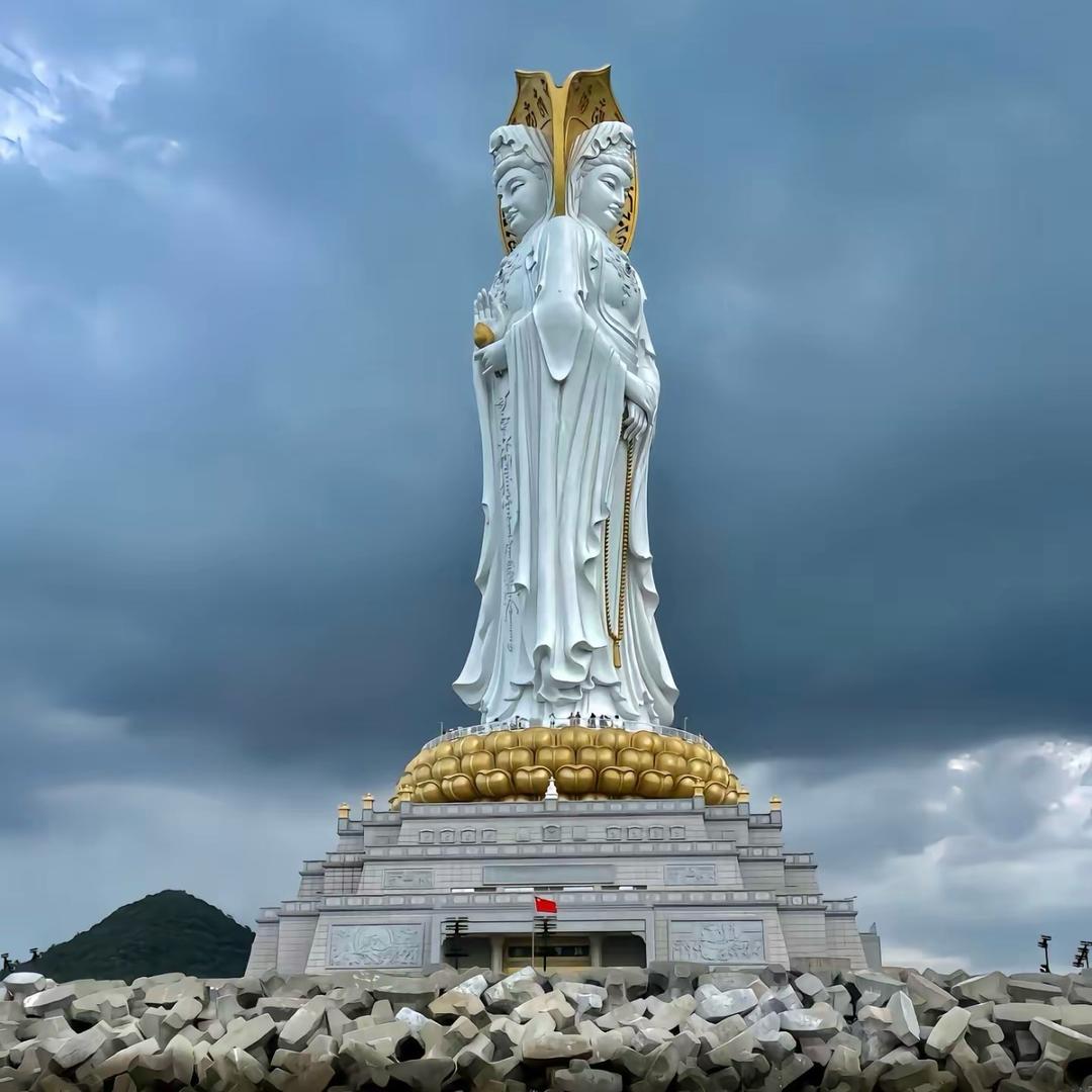 小杰100