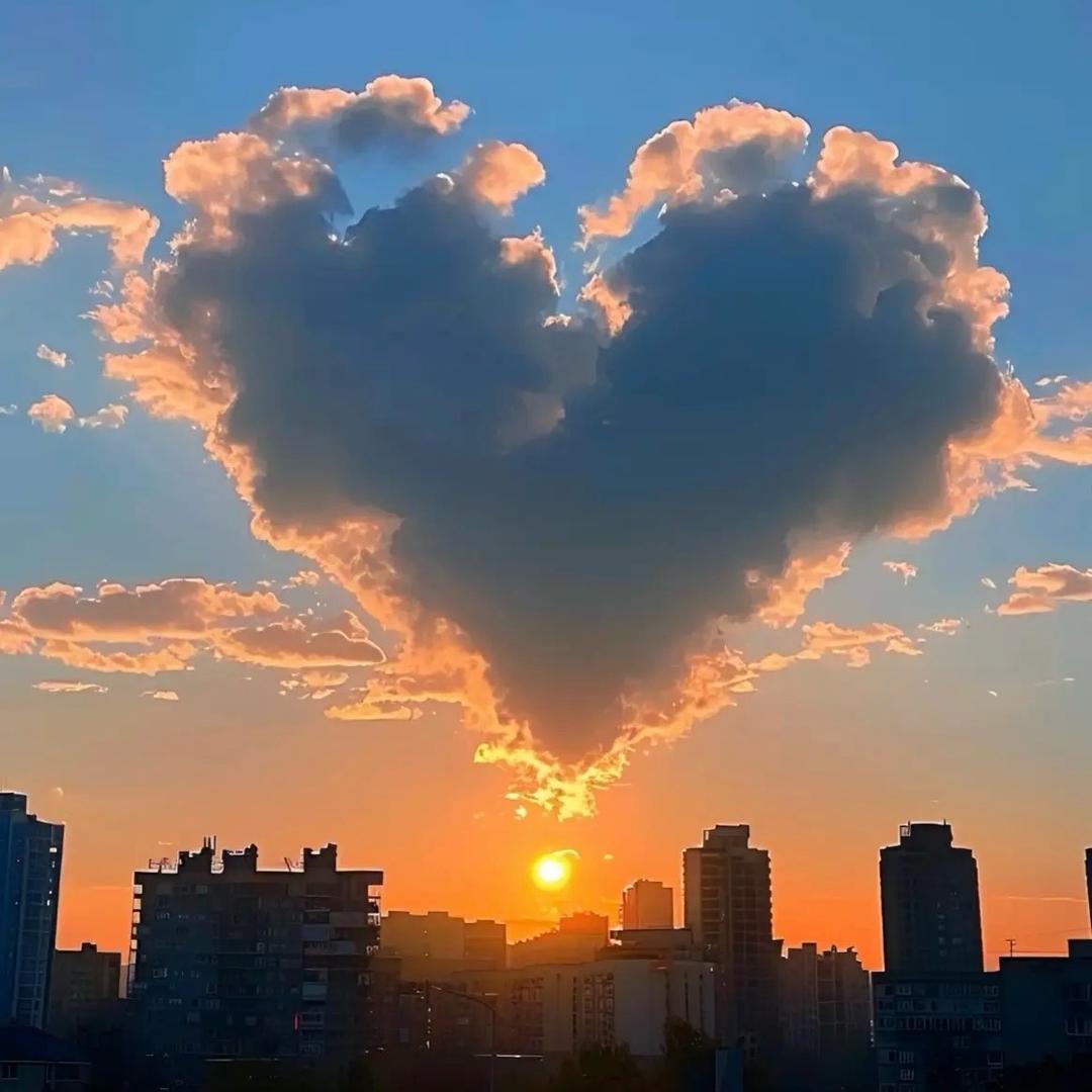 小懒虫