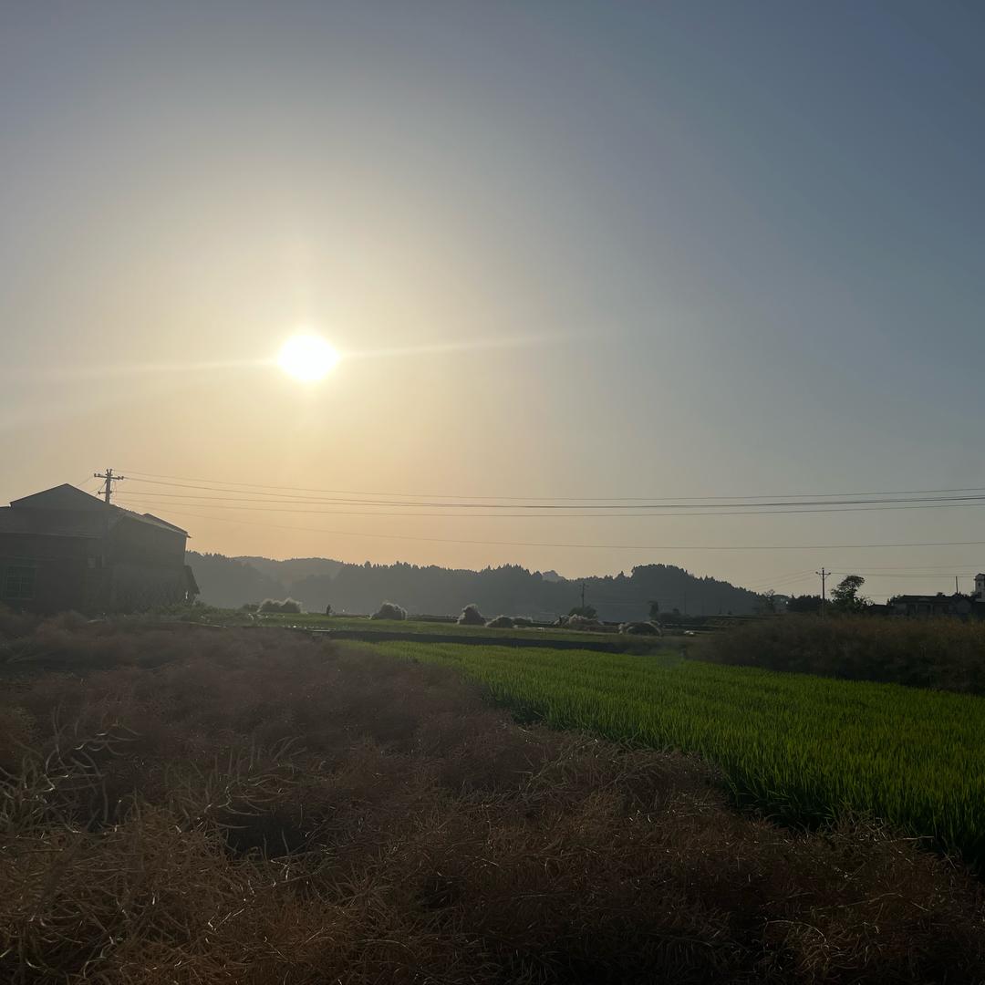 起来看流星雨并许愿