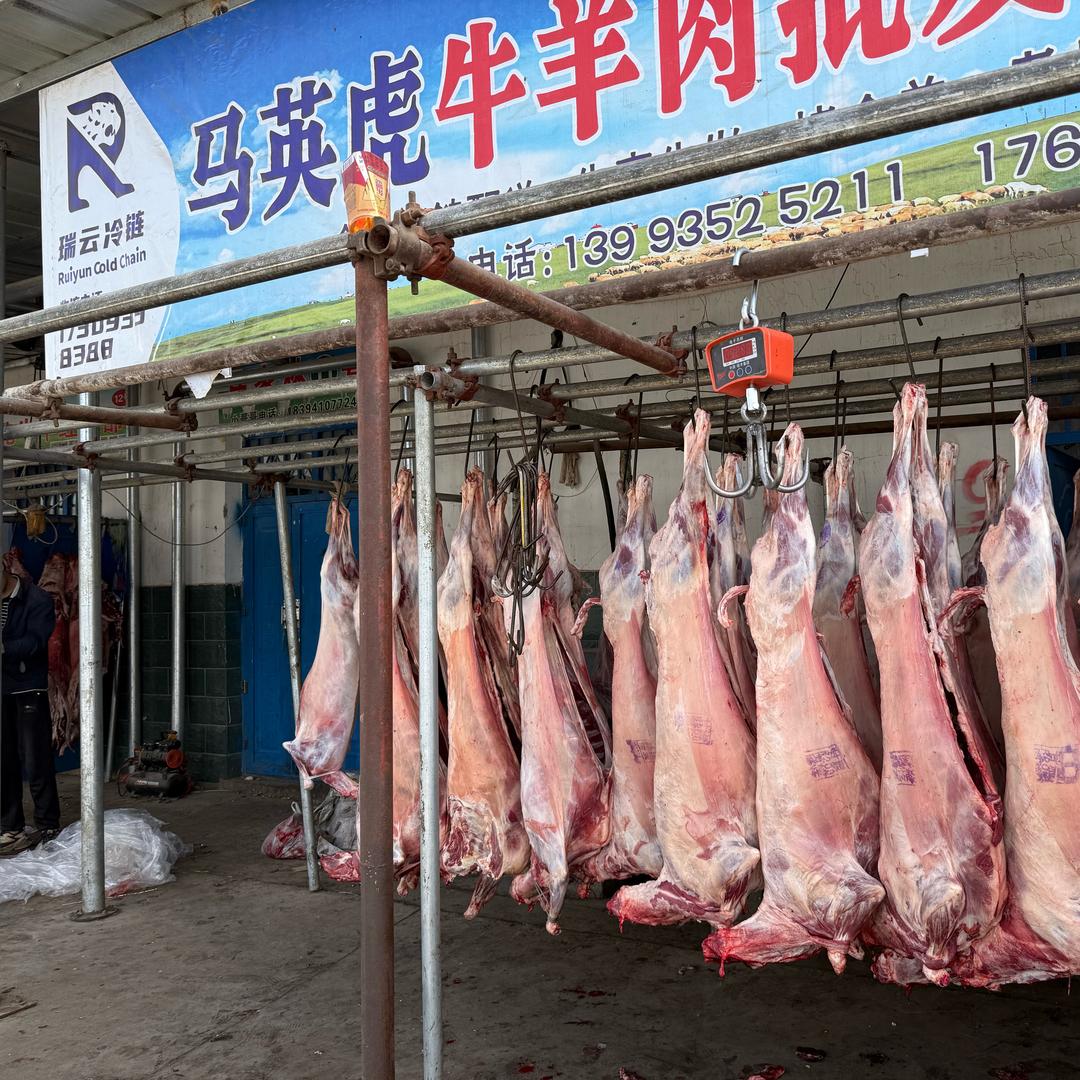 甘肃武威 批发牛羊肉🥩