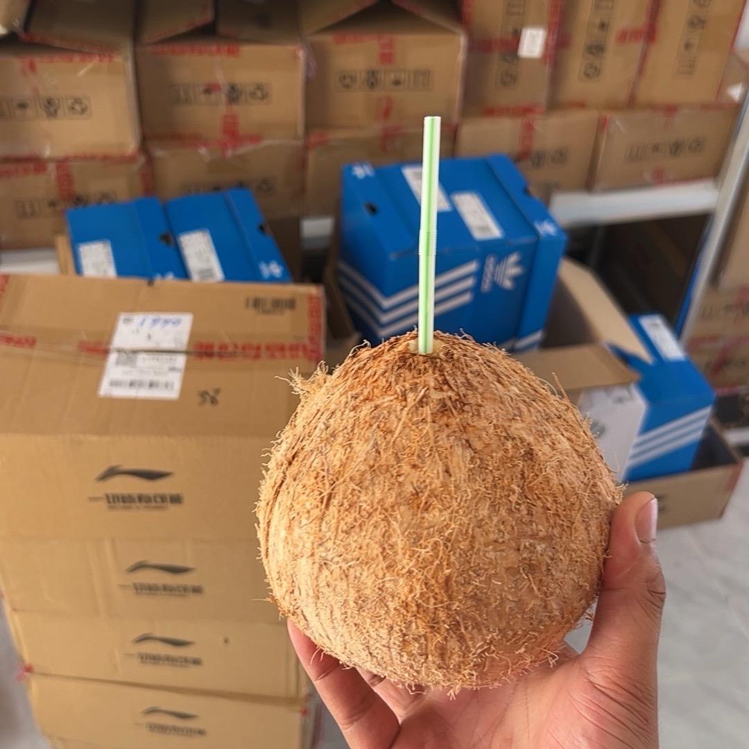 坚如磐石