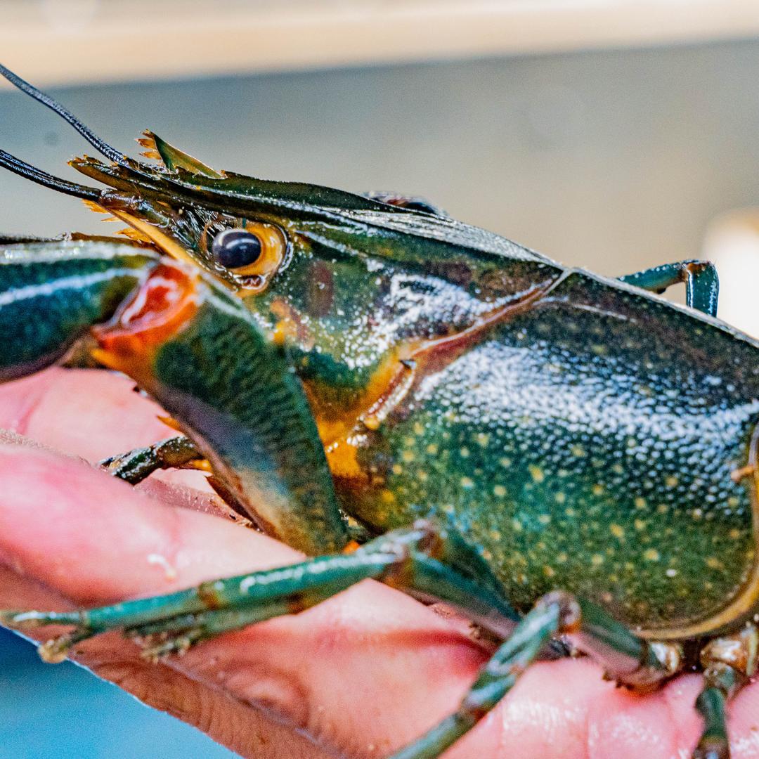 白云区茗玥水产