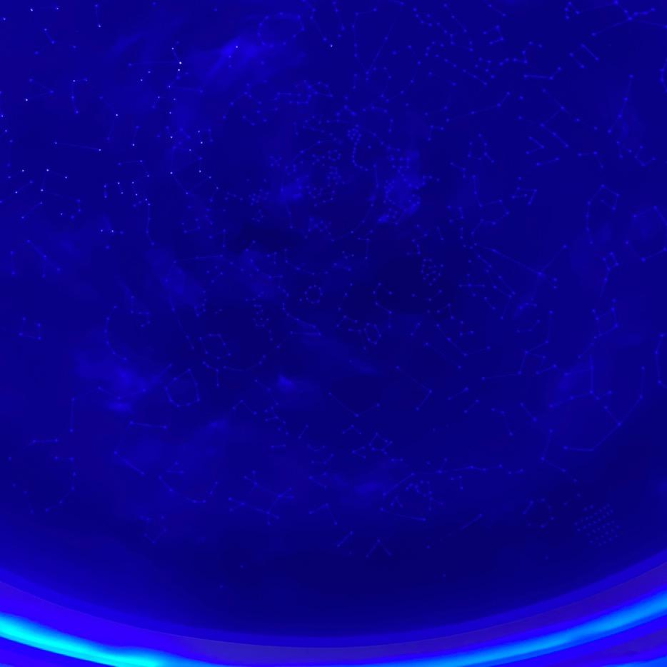 老王同志