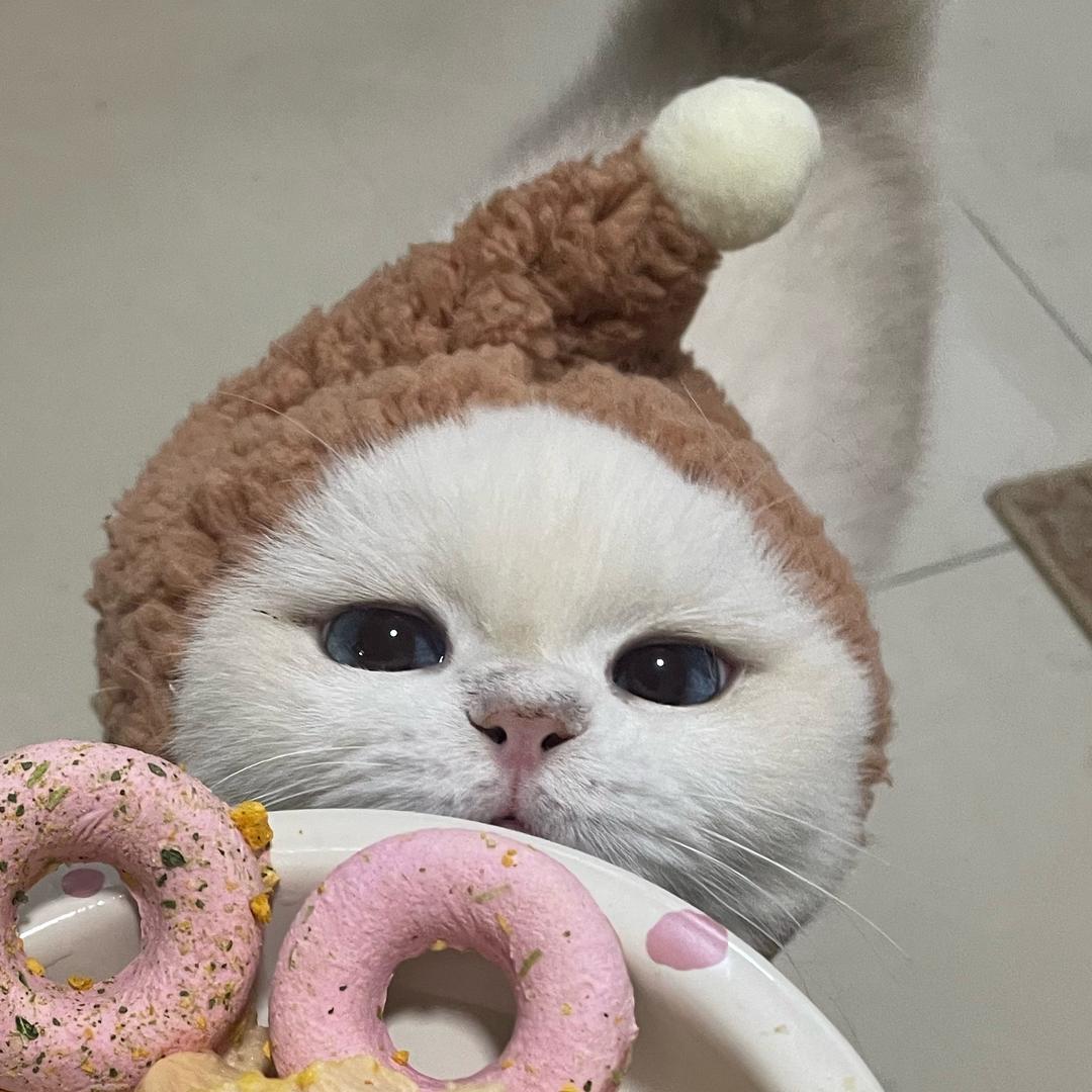 我愿嫁给财神爷哪怕是妾