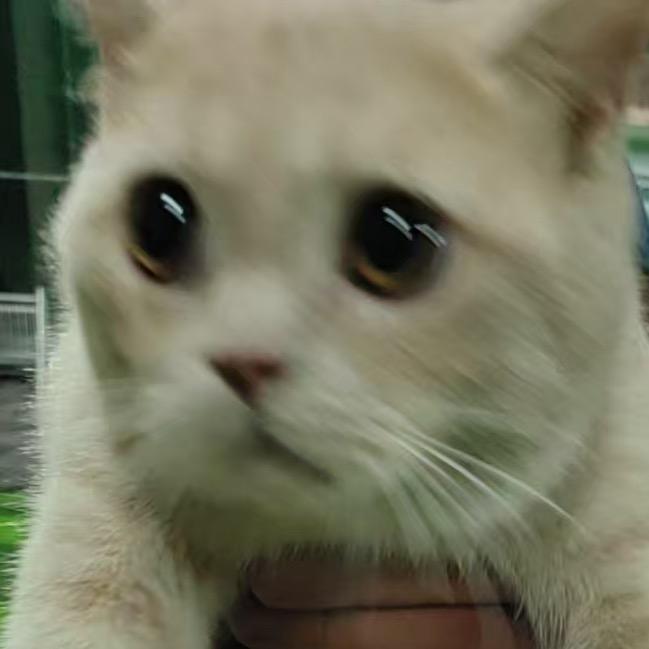 小程序