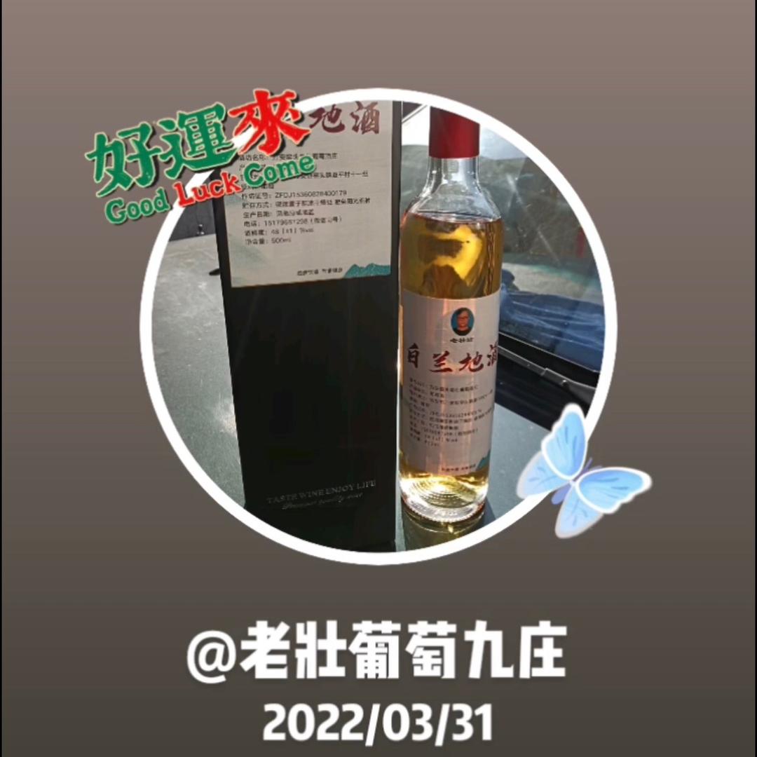 老壮果酒