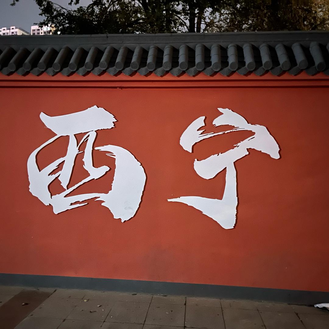 重案组之虎