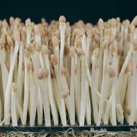 长沙凯雨通农产品有限公司