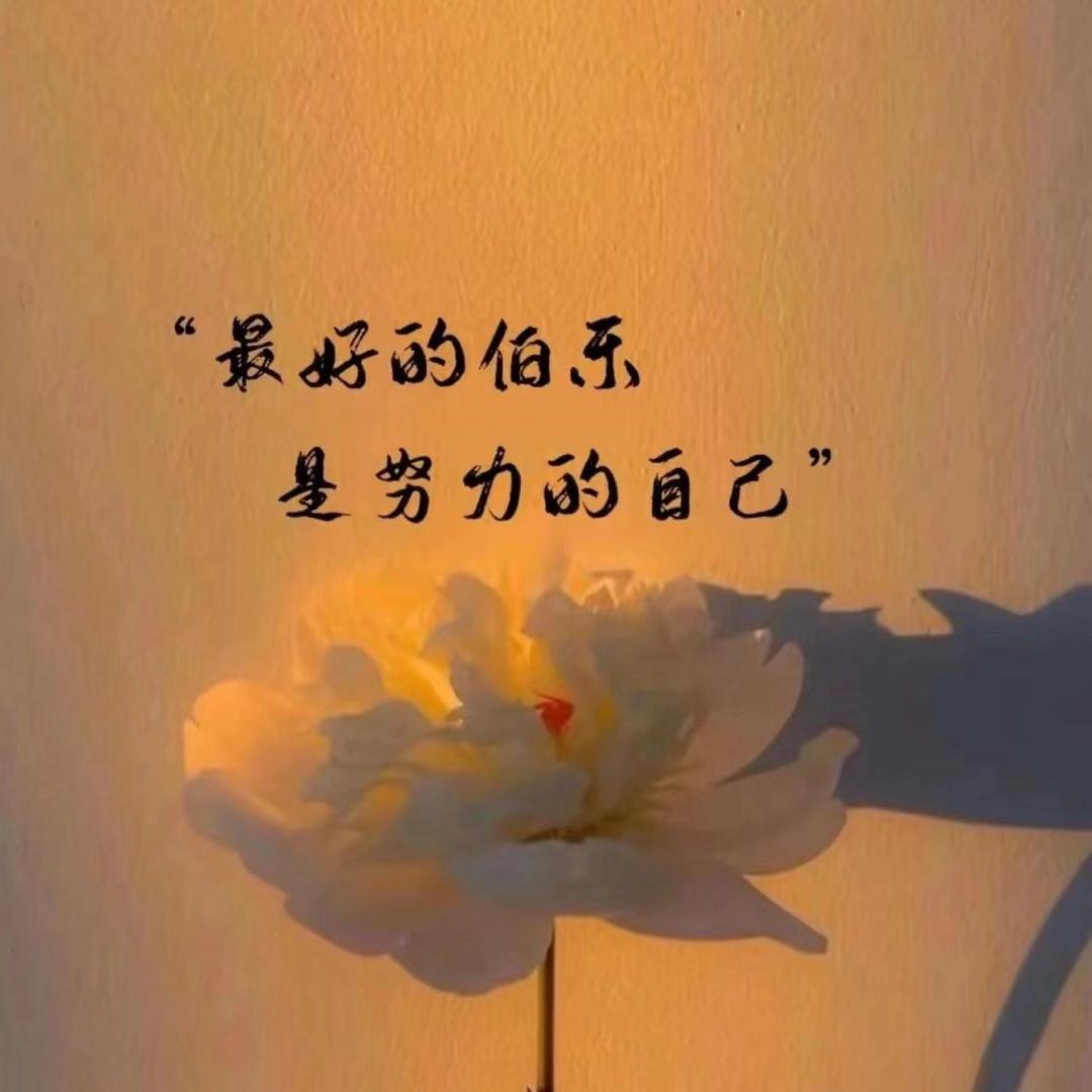 岁玥静好