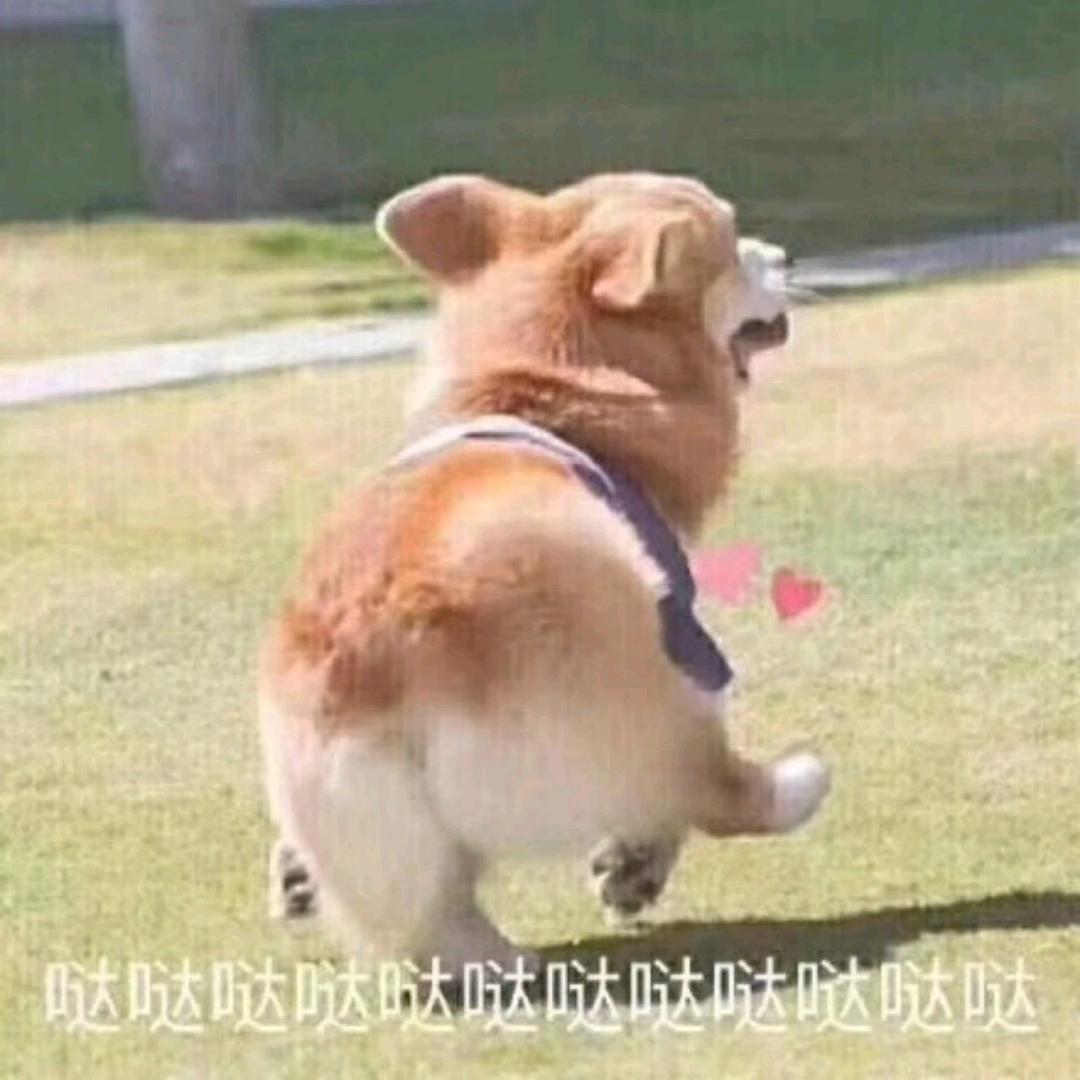 小nan孩单车（坤坤真爱粉）