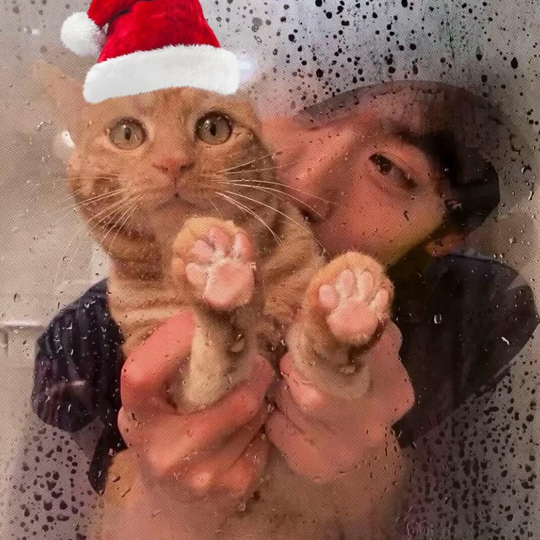 讨厌下雨天🌧️