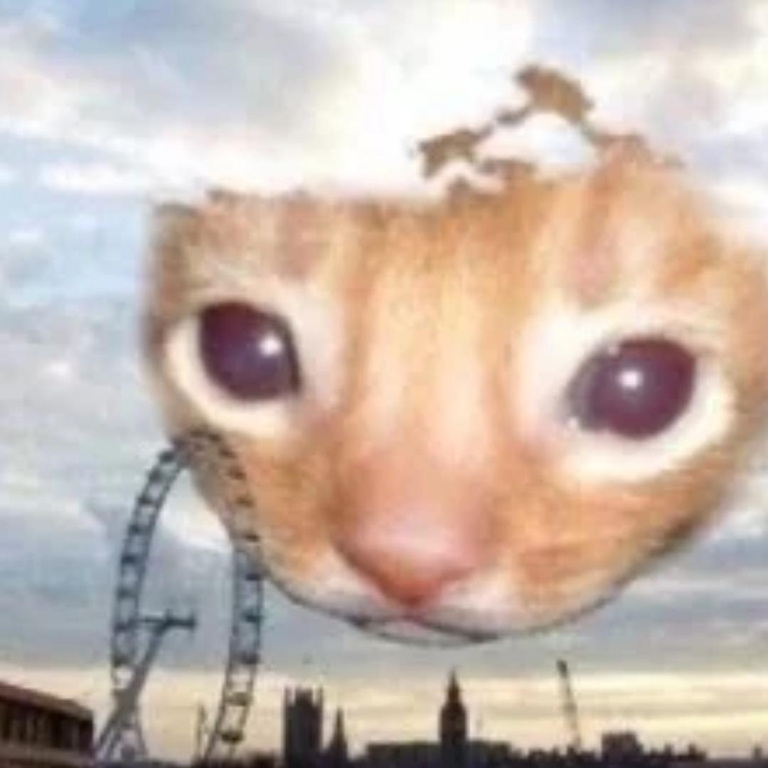 AN