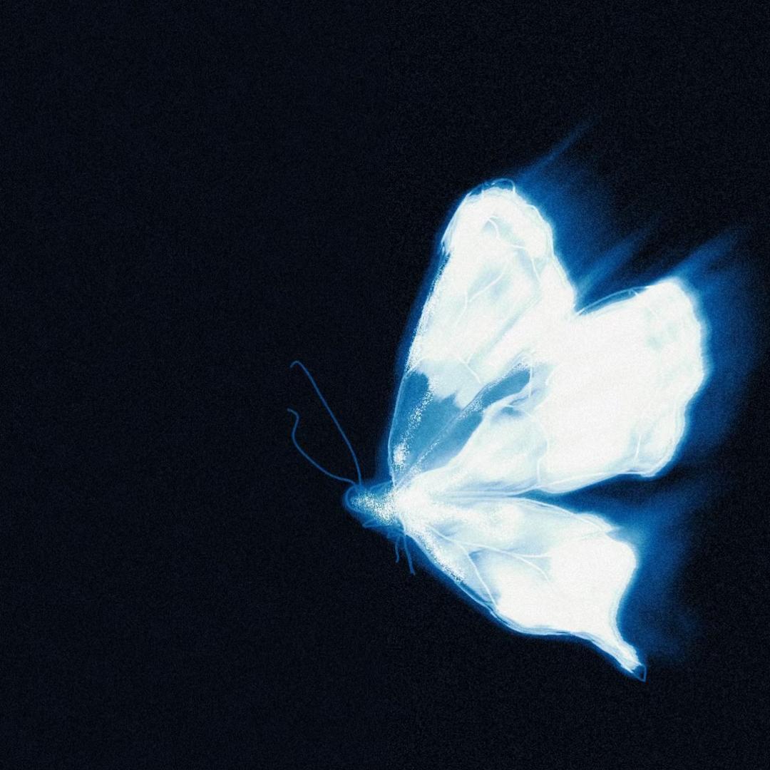 vo