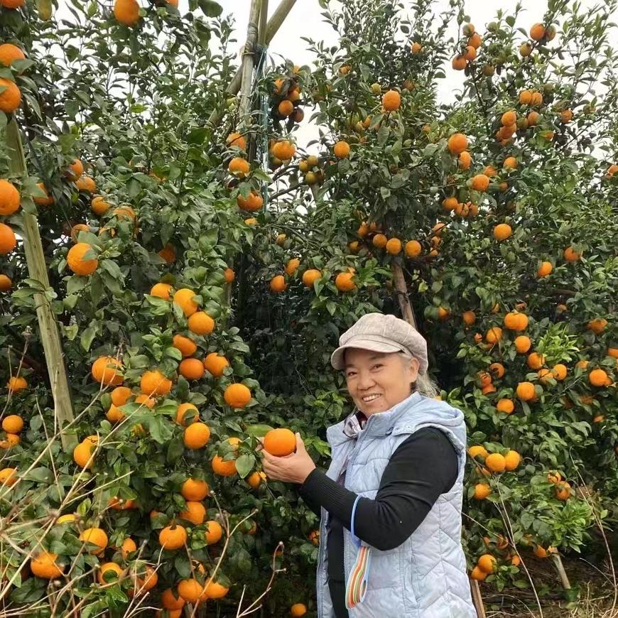 广西南宁市武鸣区梅姐水果