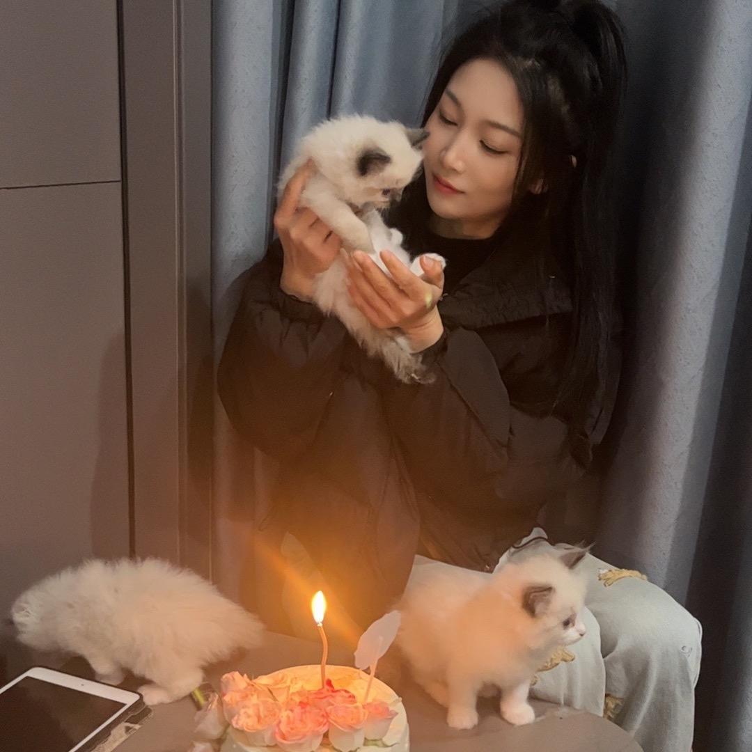 欢迎