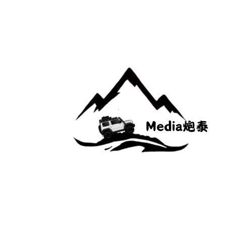 炮泰