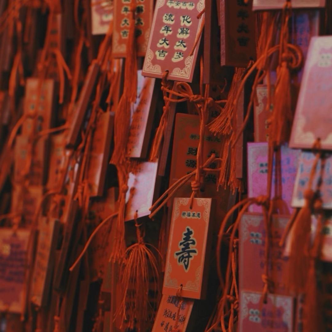 顾雅士利