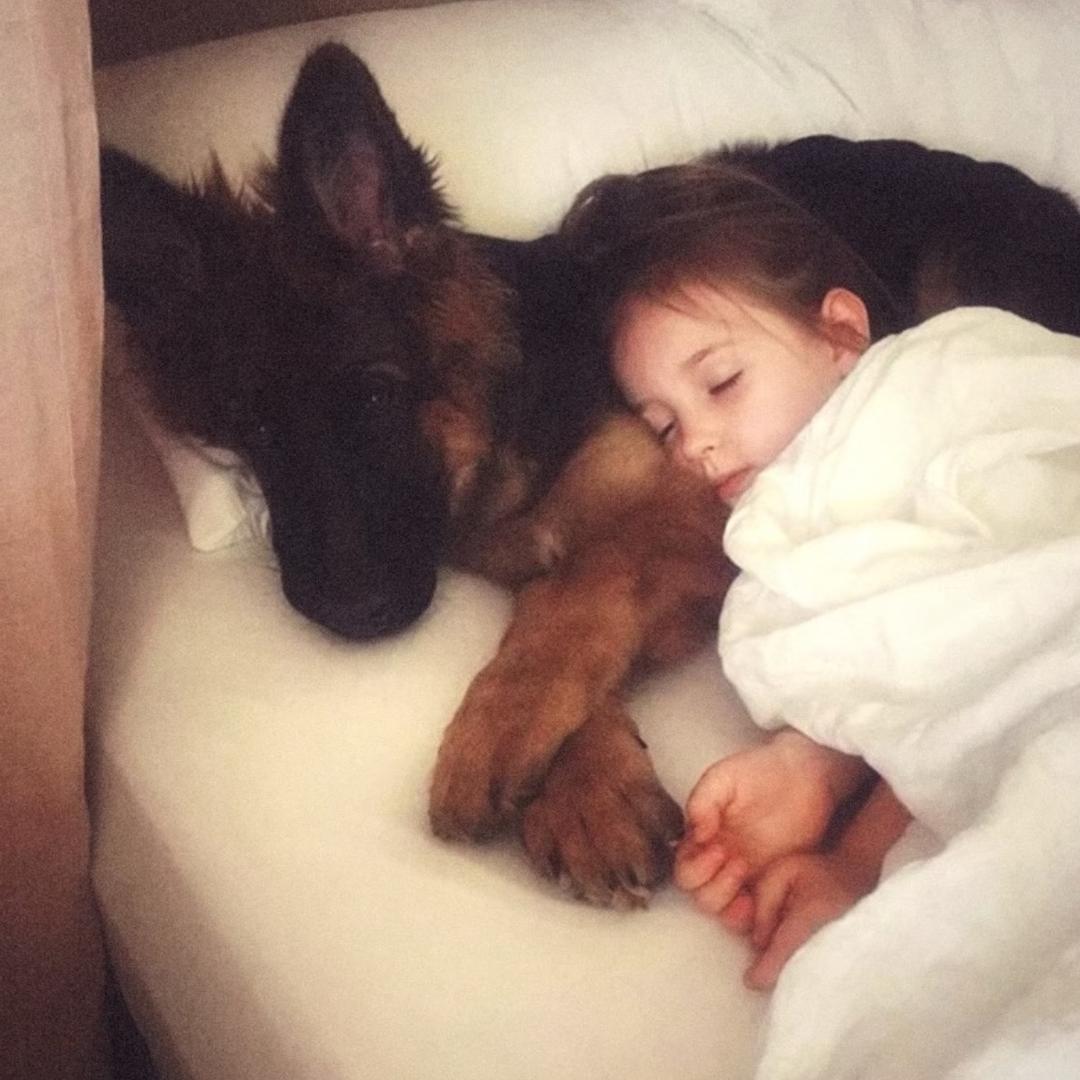 彤彤子（彤砸！）