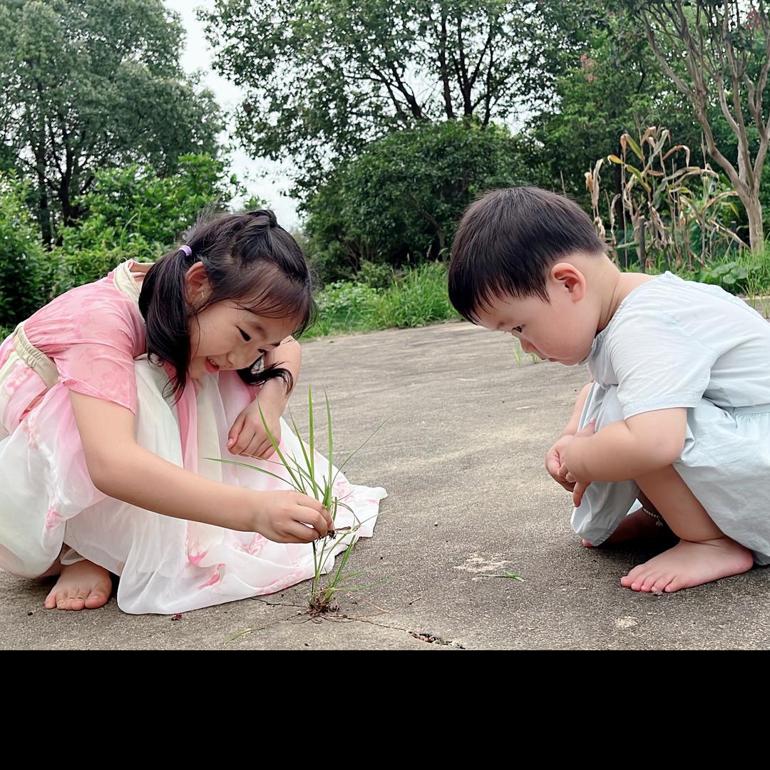 栀子花开