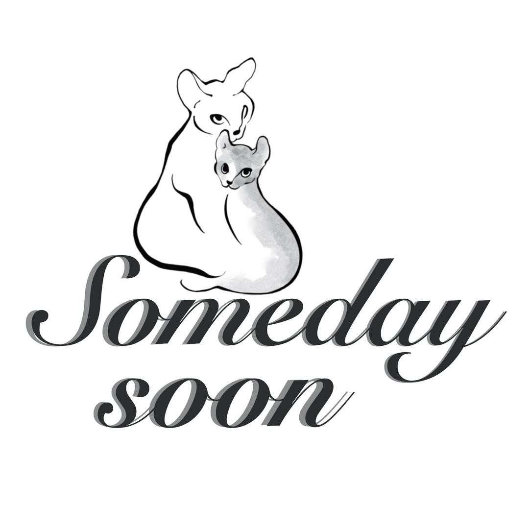 Somedaysoon主理人