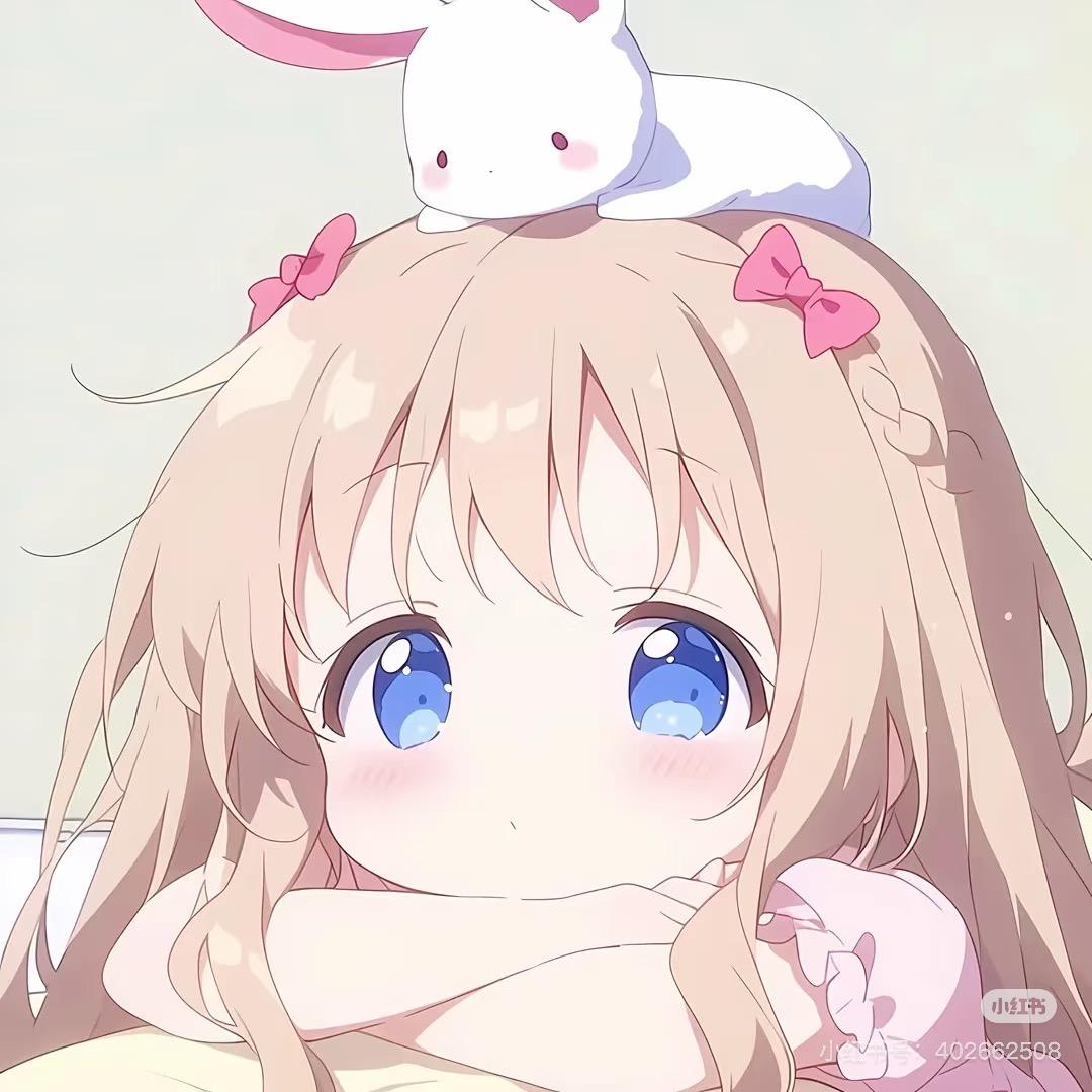 深圳市龙岗区丹娜布偶猫舍宠物服务店