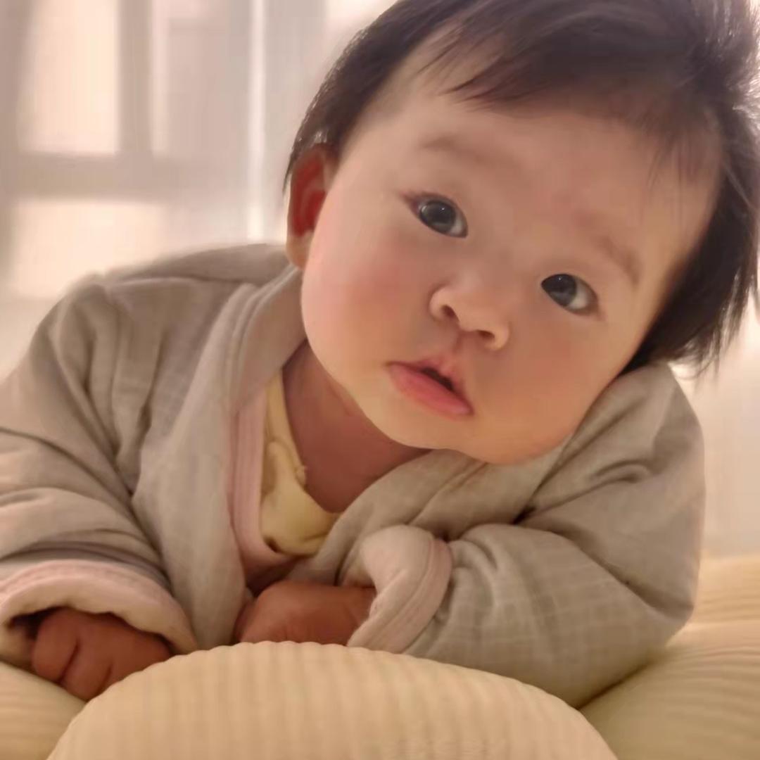 来来我是一颗菠菜