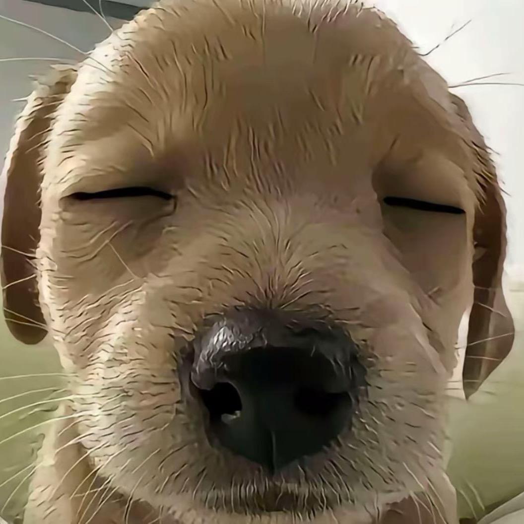 Zzz