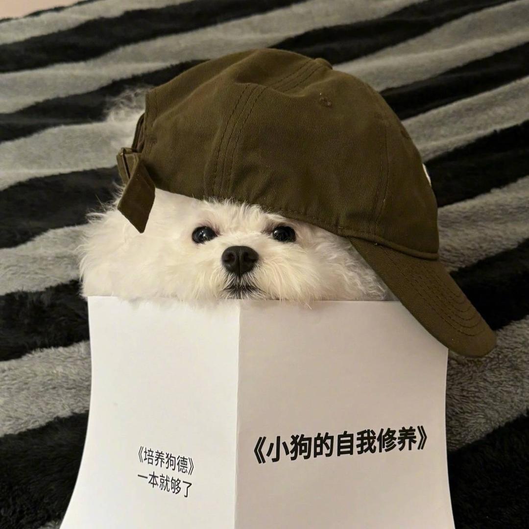 好运来-