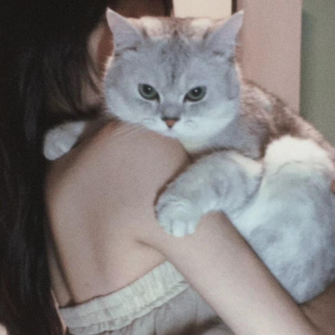 思思