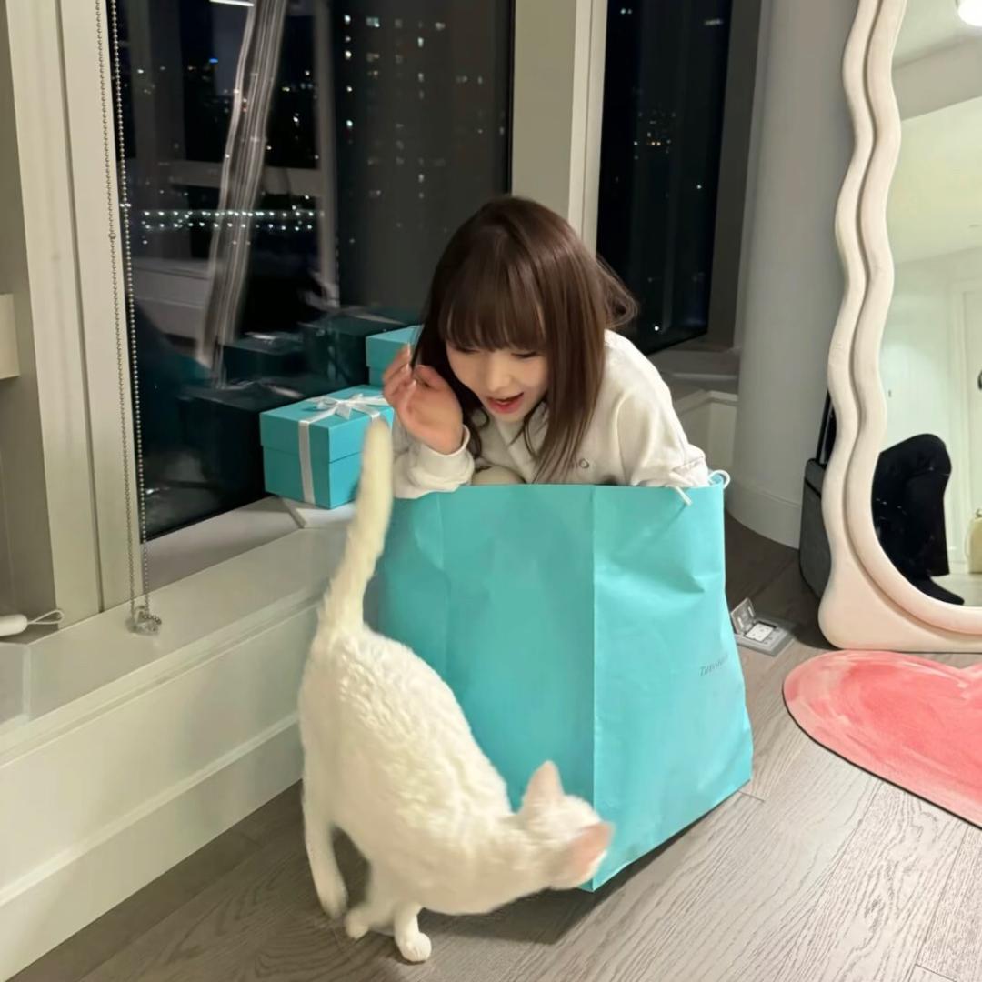睡觉不伤心