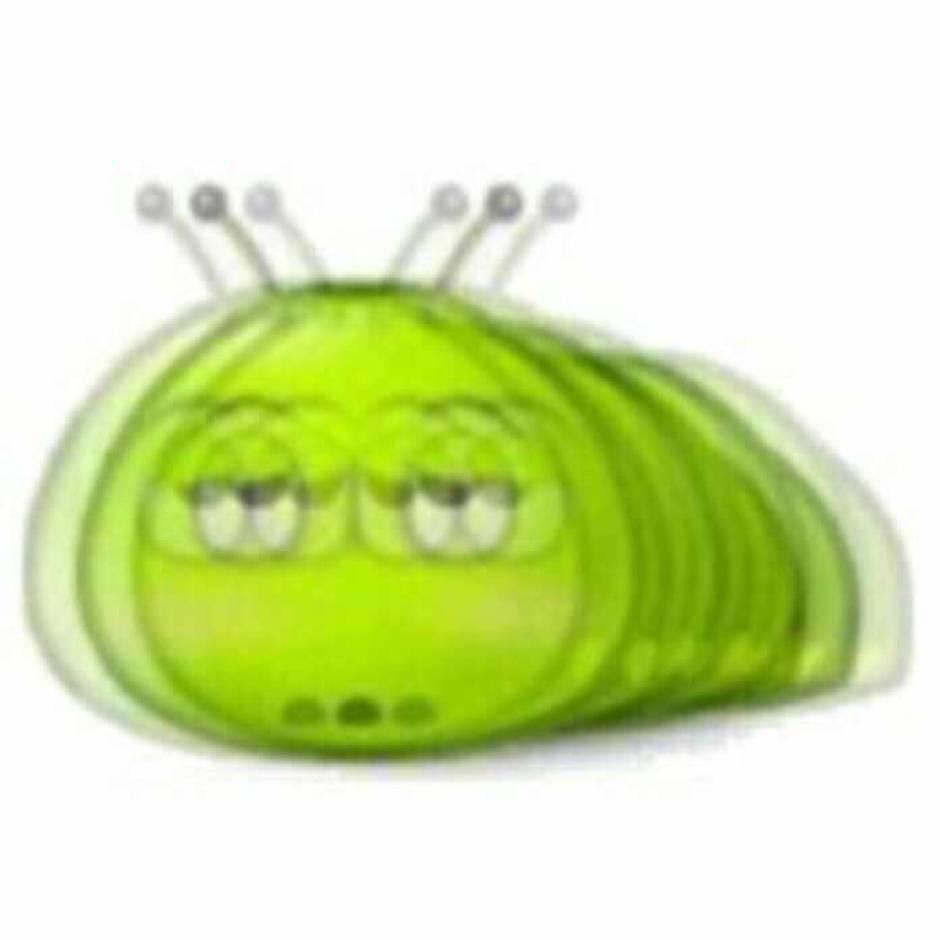 大树