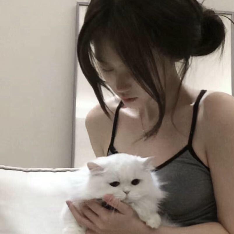 慧不慧