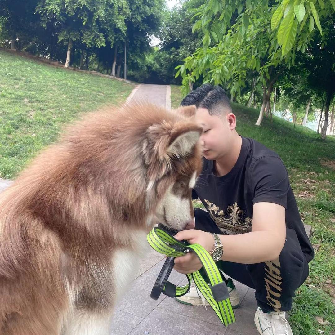 王海锋