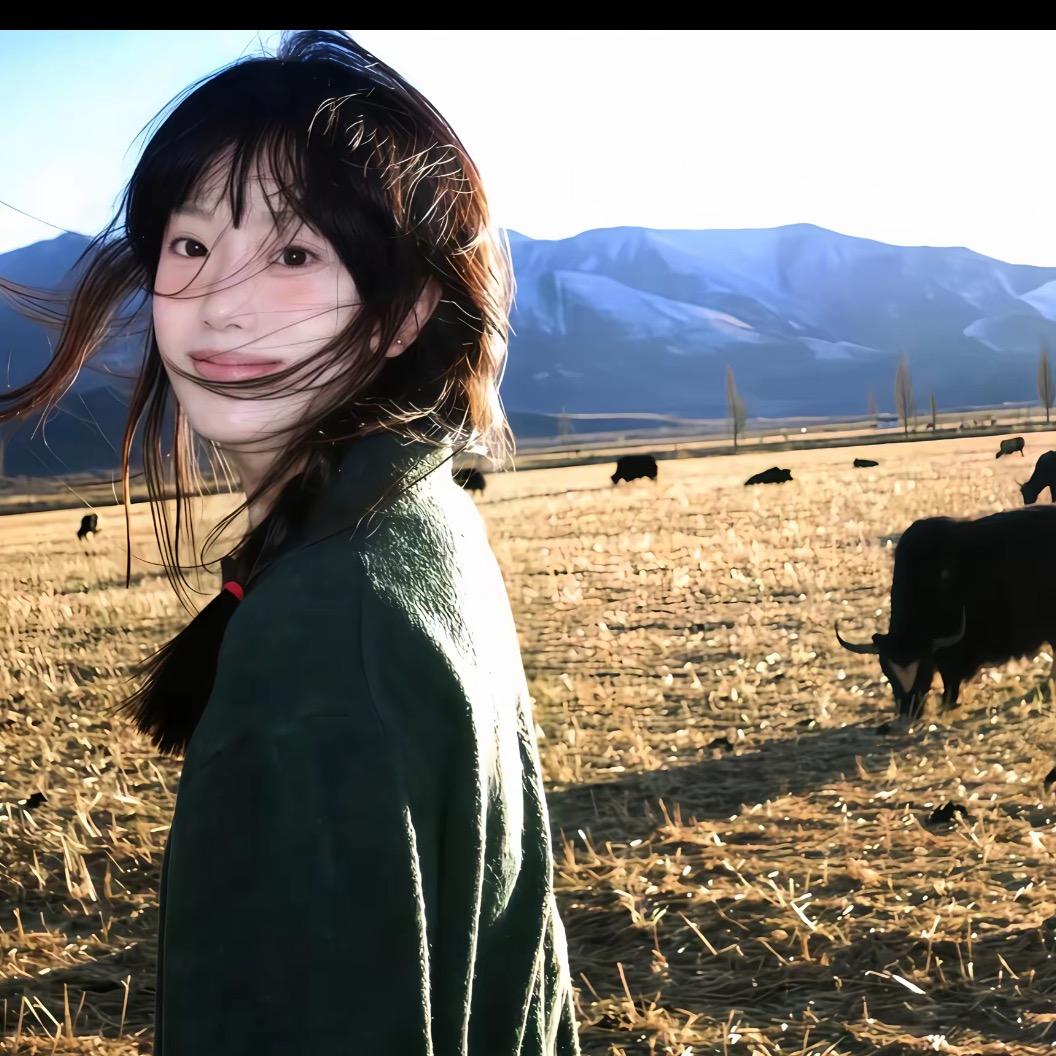 辞安.