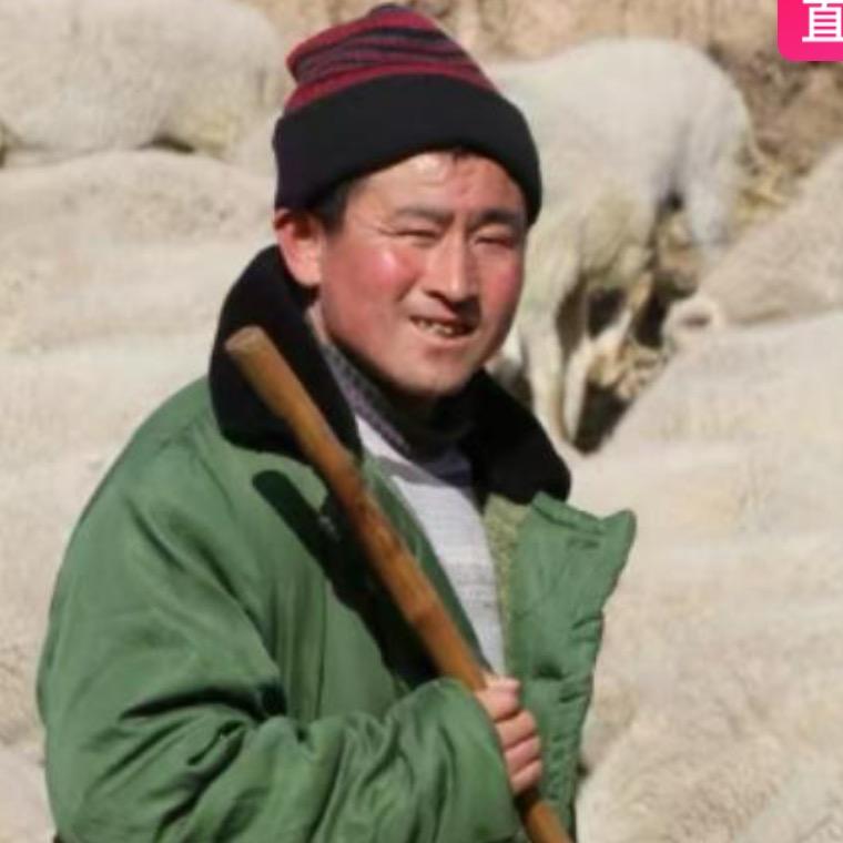 两个牧羊人（冲1500粉）