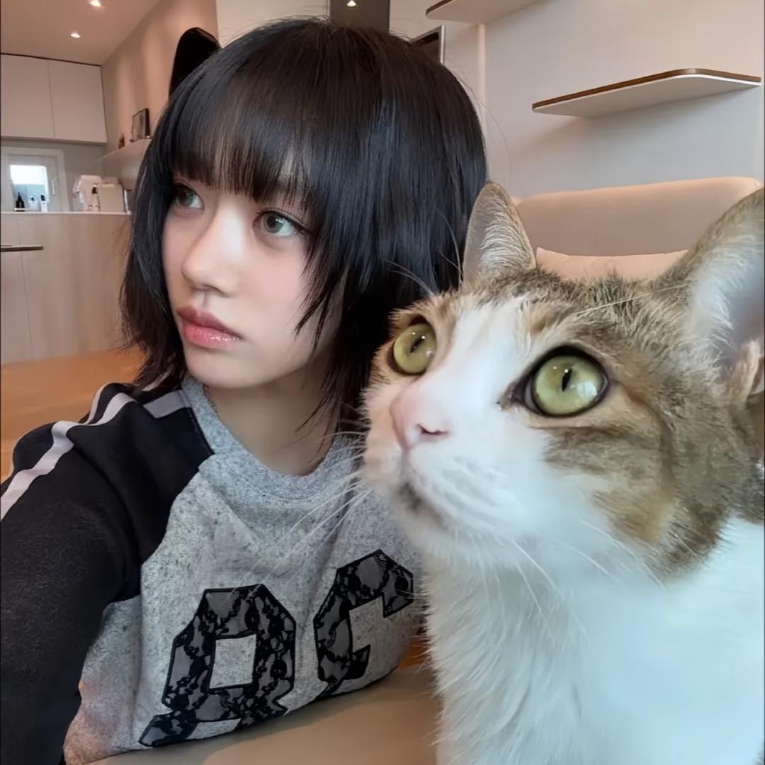 哭泣茄子酱