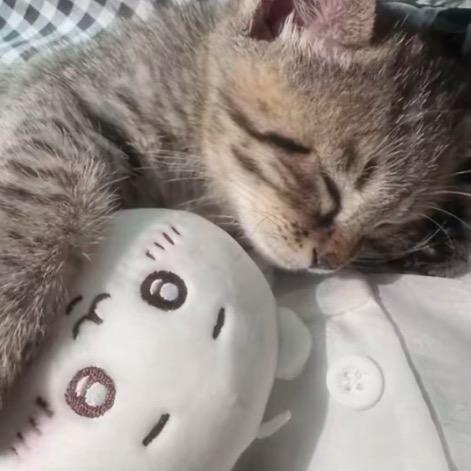 纯情大姥姥