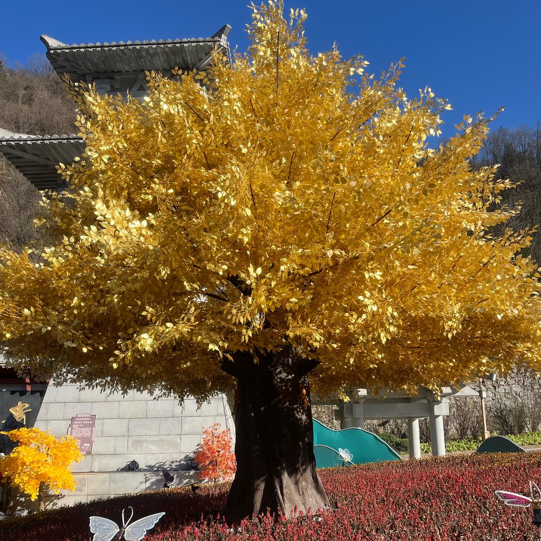黄集团结饭店专业上门包席