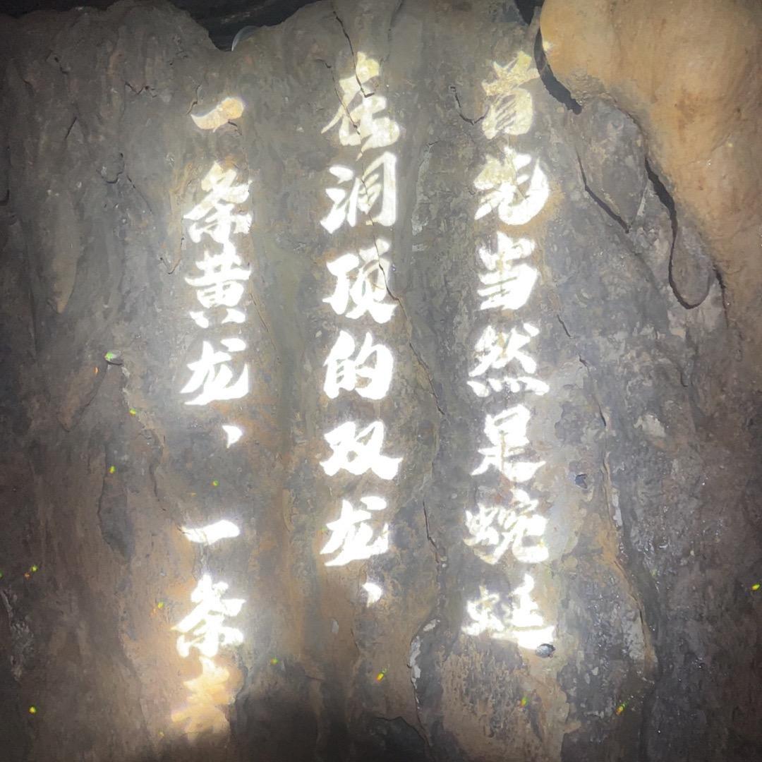 羅 先生. 的经营商业