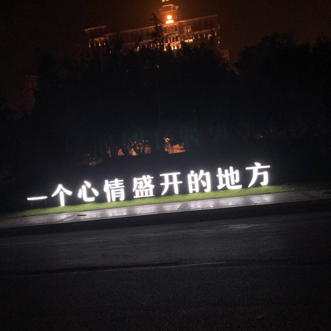 🐘人生如梦