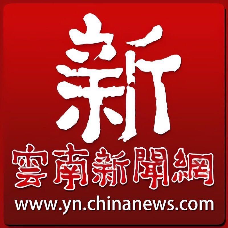 云南新闻网