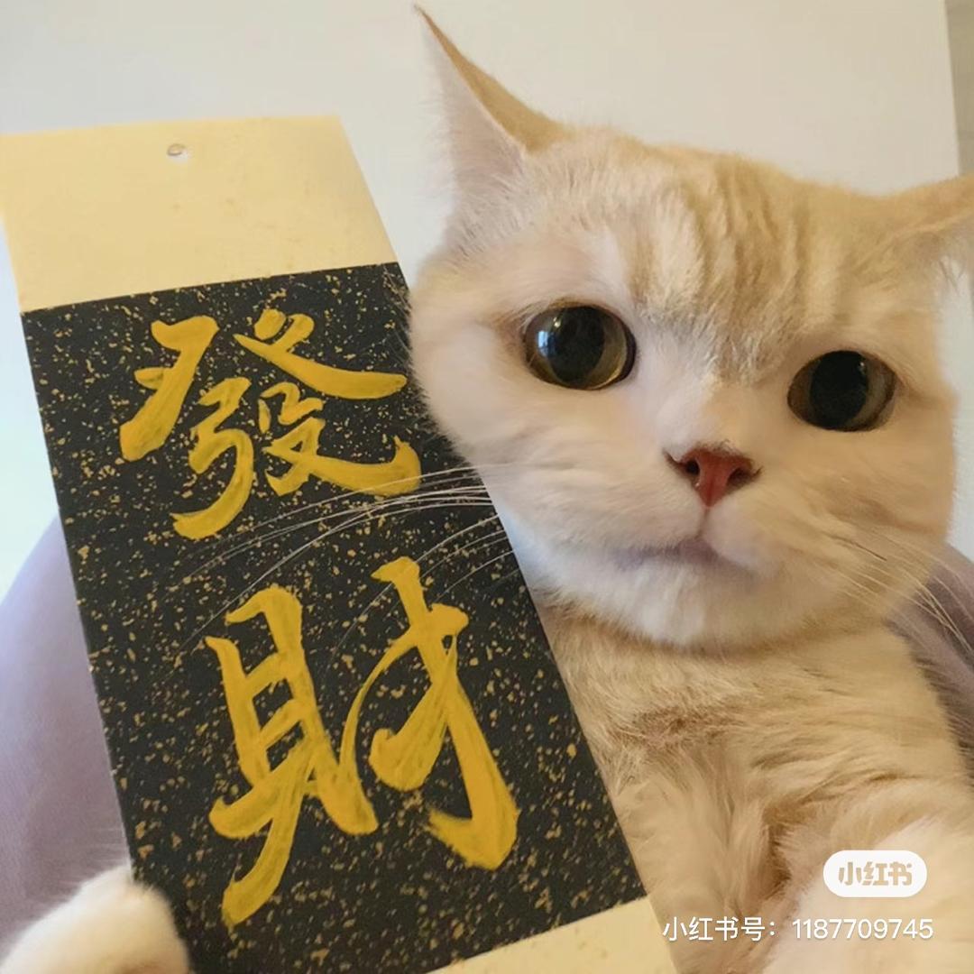 喝可乐的喵