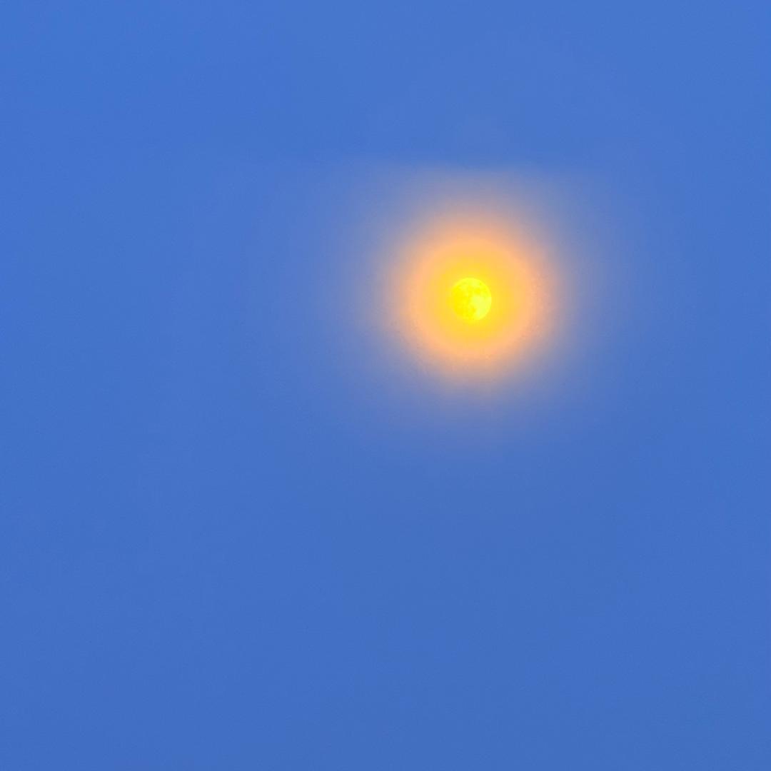 静谧时光
