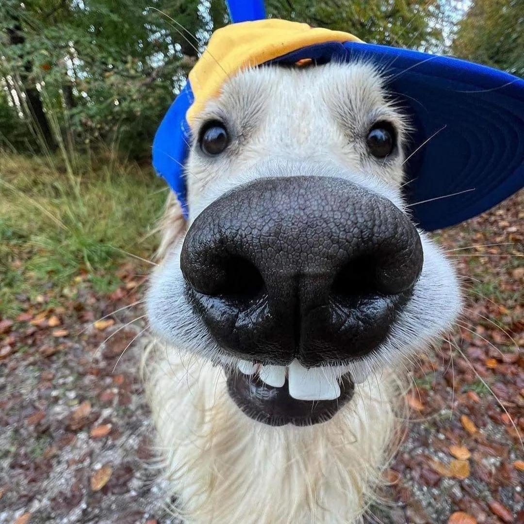 人丑个不高长的恶心还没腰