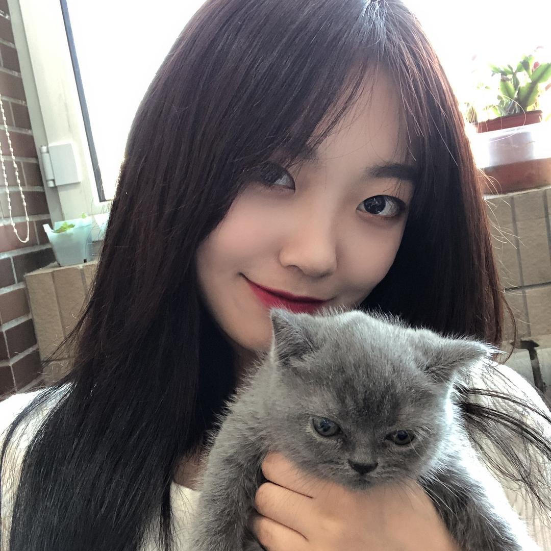 古德猫猫